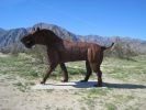 PICTURES/Borrego Springs Sculptures - Bugs, Cats & Birds/t_IMG_8803.JPG
